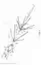 Fig. 05 - Retrievable blood clot filter