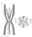 Fig. 10 - Retrievable blood clot filter