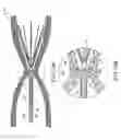 Fig. 11 - Retrievable blood clot filter
