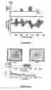 Fig. 06 - Methods and apparatus for conversion of eukaryotic cells by application of electric and magnetic fields