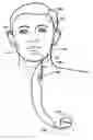 Fig. 01 - Stimulation mode adjustment for an implantable medical device
