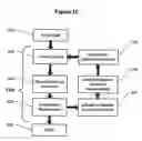 Fig. 09 - Renal nerve stimulation method for treatment of patients