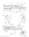 Fig. 06 - Bifurcation stent delivery system