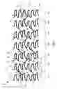 Fig. 02 - FLEXIBLE EXPANDABLE STENT
