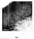 Fig. 04 - Implant and method of producing the same, and a system for implantation