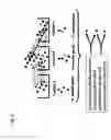 Fig. 04 - Methods and systems for analyzing a network of biological functions