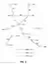 Fig. 05 - Method and device for taking an access control policy decision