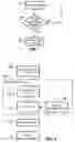 Fig. 06 - Real time wireless informational services