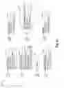 Fig. 05 - Graphic object themes