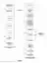 Fig. 07 - System and method for determining personal genealogical relationships and geographical origins including a relative confidence