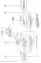Fig. 09 - Recording/transferring program, recording/transferring apparatus, and recording/transferring method