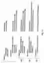Fig. 11 - Communications network