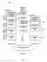 Fig. 04 - Method and apparatus for determining precedence in a classification engine