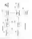 Fig. 02 - Biometric based user authentication and data encryption
