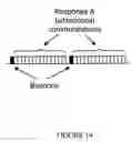 Fig. 14 - Dynamic real-time tiered client access