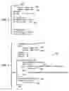 Fig. 05 - Method for simplifying compiler-generated software code