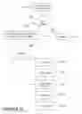 Fig. 19 - System for reducing the number of programs necessary to render an image