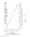 Fig. 86 - Synchronized multipoint-to-point communication using orthogonal frequency division