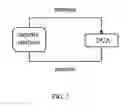 Fig. 02 - Platform for analyzing the security of communication protocols and channels