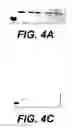 Fig. 08 - Sperm factor oscillogenin