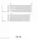 Fig. 08 - Transgenic expression constructs for vegetative plant tissue specific expression of nucleic acids