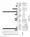 Fig. 37 - Methods for controlling gibberellin levels