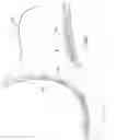 Fig. 05 - Under arm/breast perspiration shields