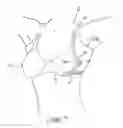 Fig. 06 - Under arm/breast perspiration shields