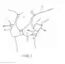 Fig. 08 - Under arm/breast perspiration shields