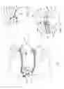 Fig. 02 - Periphery view mask and remote breathing assembly