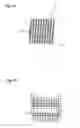 Fig. 08 - Bristle unit used for toothbrush and implanting method thereof