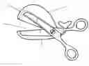 Fig. 01 - Safety Haircut Scissors