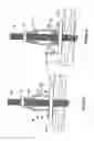 Fig. 06 - Fastener assembly serving as a product, or combined with other components as a product, allows automatic controlled movements in one direction and prevents movements in the opposite direction when forces are applied