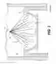 Fig. 04 - System for selective homogeneous charge compression ignition