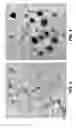 Fig. 04 - Method of forming conductors at low temperatures using metallic nanocrystals and product
