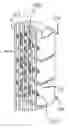 Fig. 01 - Instrument training device for stringed instruments