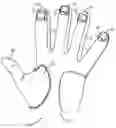 Fig. 01 - MULTI-FINGER GUITAR SLIDE
