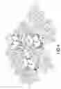 Fig. 05 - Mold structure for pressing fruits and vegetables