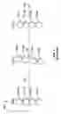 Fig. 02 - Reverse air flow web stabilizer