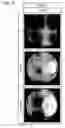 Fig. 06 - Silicon wafer and method for producing same