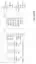 Fig. 45 - Method for adjusting airflow in a rodent containment cage