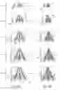 Fig. 06 - Method and apparatus for a spark-ignited direct injection engine