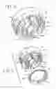 Fig. 03 - Dispensing device