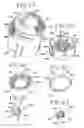 Fig. 13 - Dispensing device