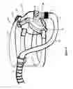 Fig. 09 - Breathing assistance apparatus