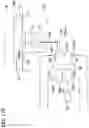 Fig. 23 - Method of washing wheels of a vehicle and apparatus therefor