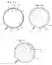 Fig. 03 - Assistive walking device with multiple support spheres