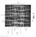 Fig. 07 - Single layer papermakers fabric