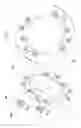 Fig. 02 - Novel tire tread and process for creating footprints