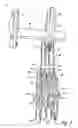 Fig. 04 - Crust fracturing implement